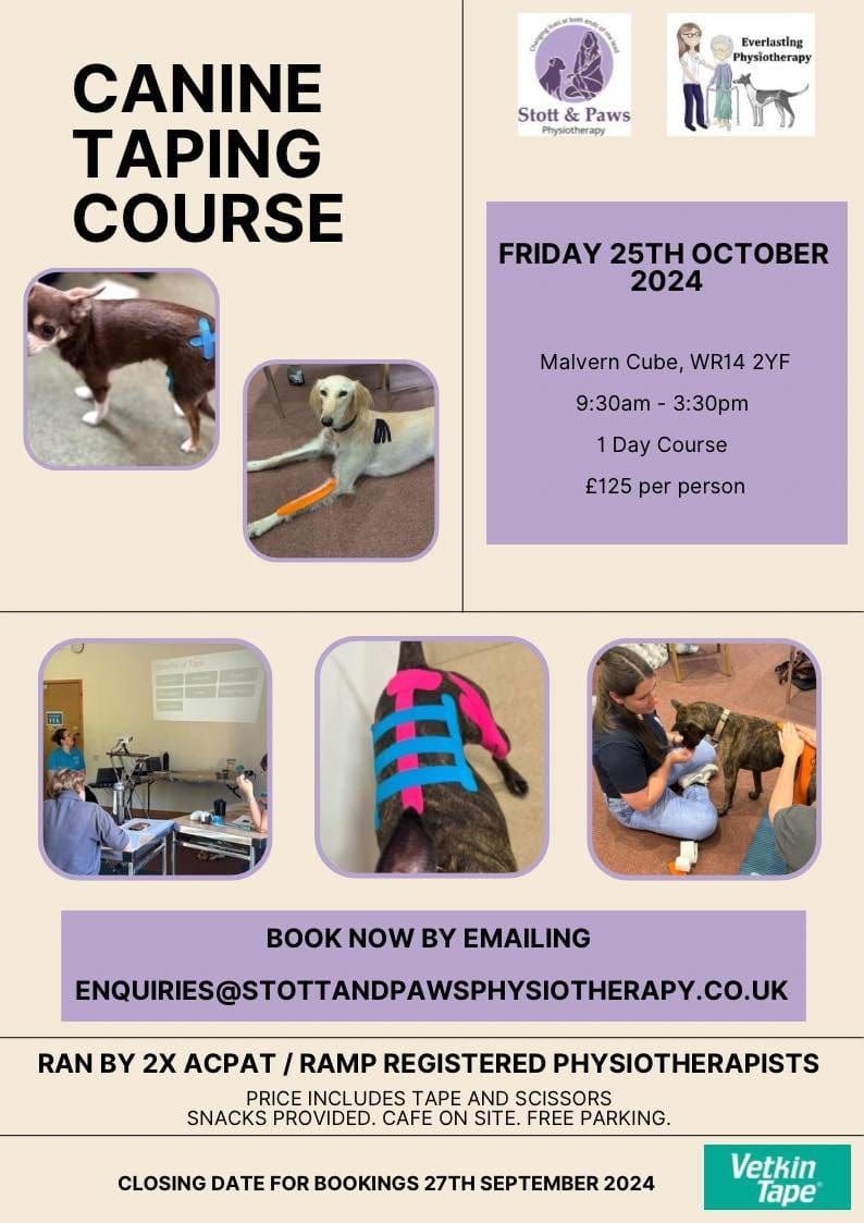 Canine Taping course for physiotherapists