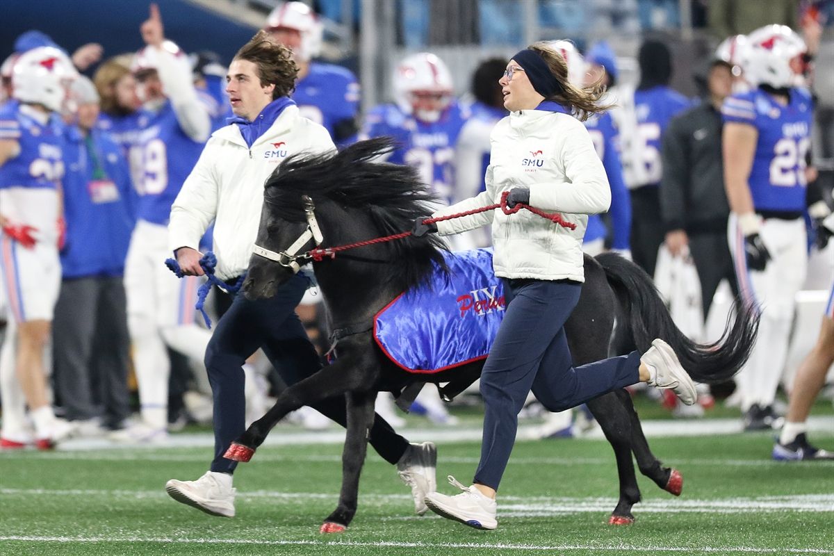 North American Stallions at Sam Houston Bearkats Womens Basketball