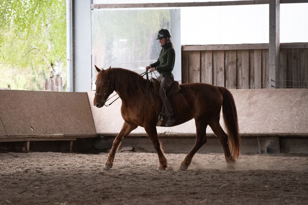 Sitzlehrgang \/ Akadamische Reitkunst mit Hanna Engstr\u00f6m