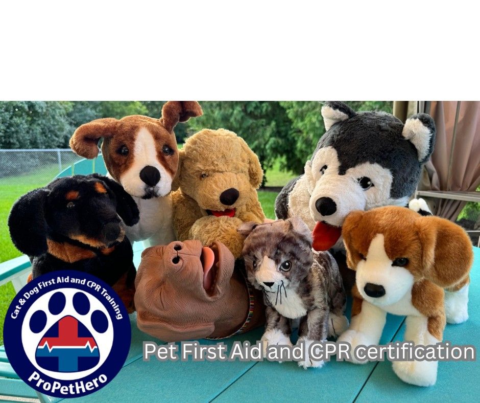 Pro Pet Hero - Pet First Aid and CPR Certification