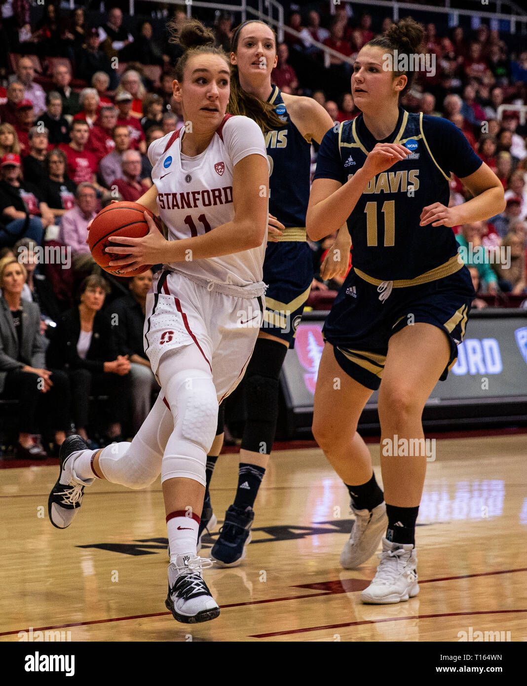 Stanford Cardinal Women's Basketball vs. UC Davis Aggies