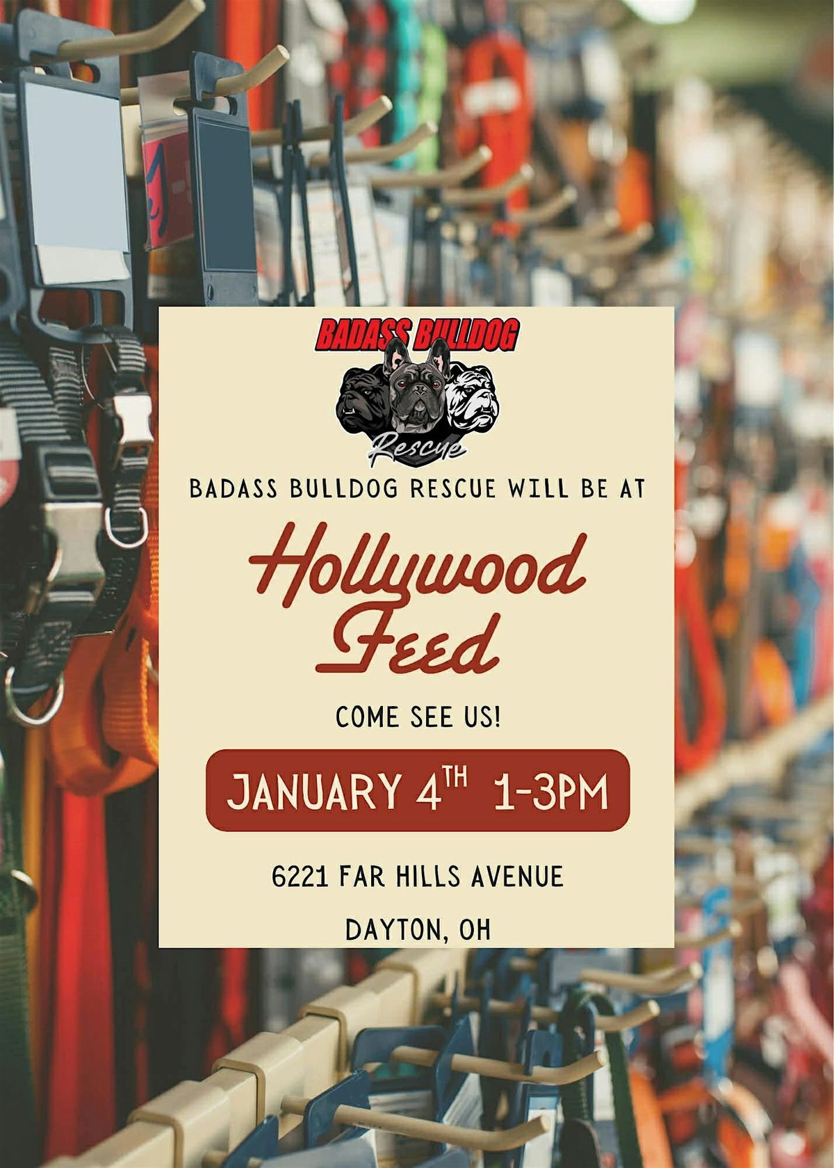 Bulldogs at Hollywood