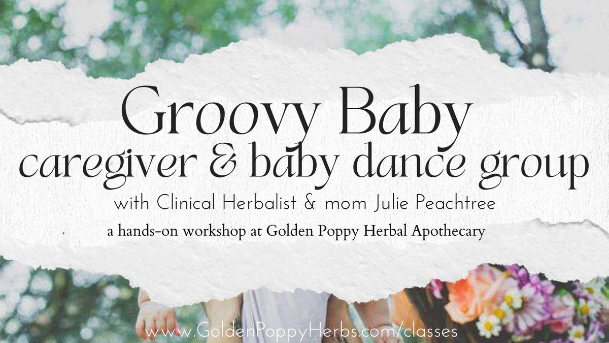 Groovy Baby: Caregiver & Baby Dance Group