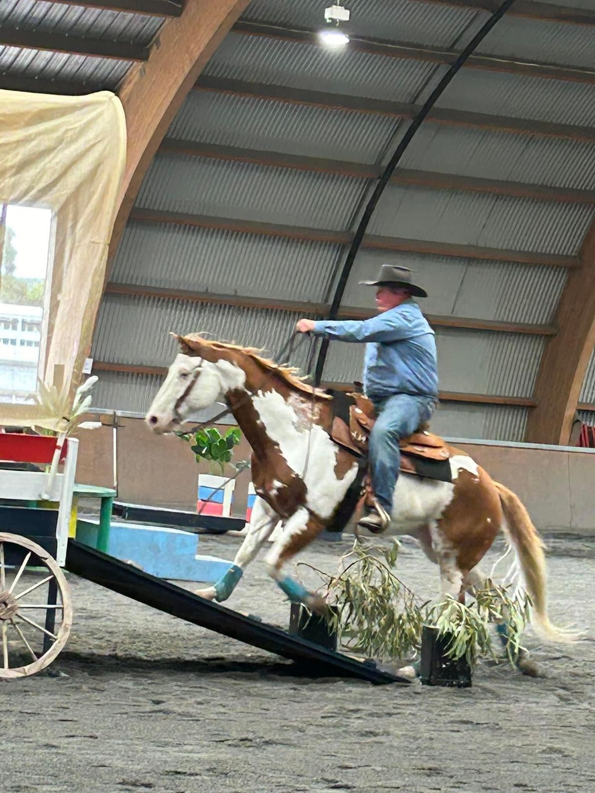 Obstacle\/extreme cowboy racing Horsemanship clinic