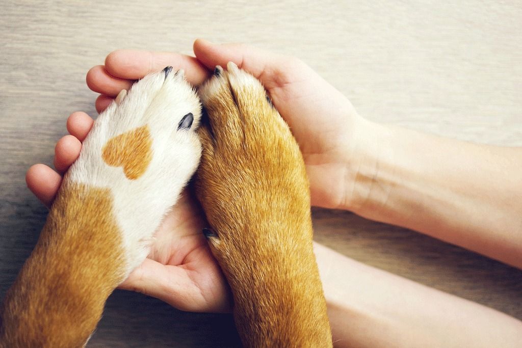 Nail Trim Event