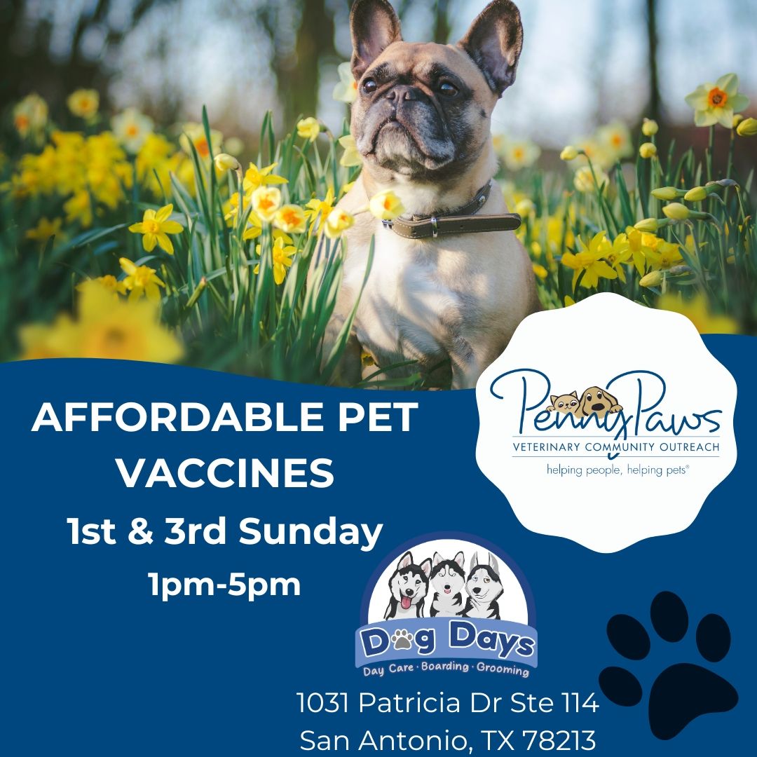 Low Cost Pet Vaccines @ Dog Days w\/ Penny Paws Mobiles 