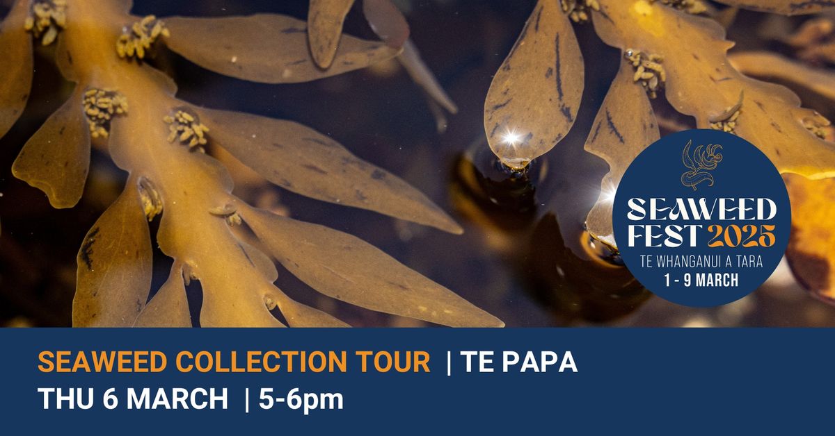 Seaweed Collection Tour | Te Papa