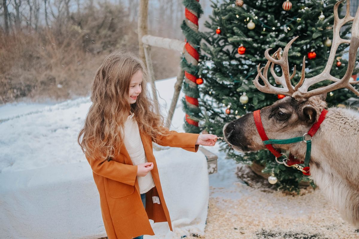 Family Reindeer Photoshoot