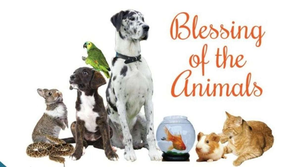 Blessing of the Animals