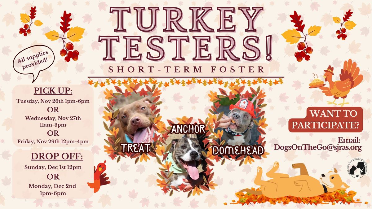 Turkey Testers!