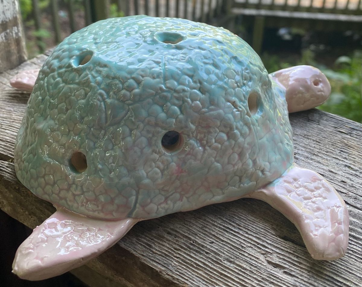 Ceramic Turtle Class