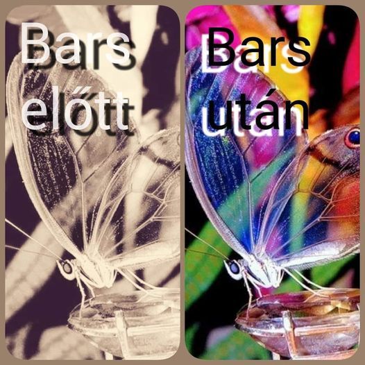 Access Bars\u00ae tanfolyam Miskolcon Julcsival \u00e9s Moncsival