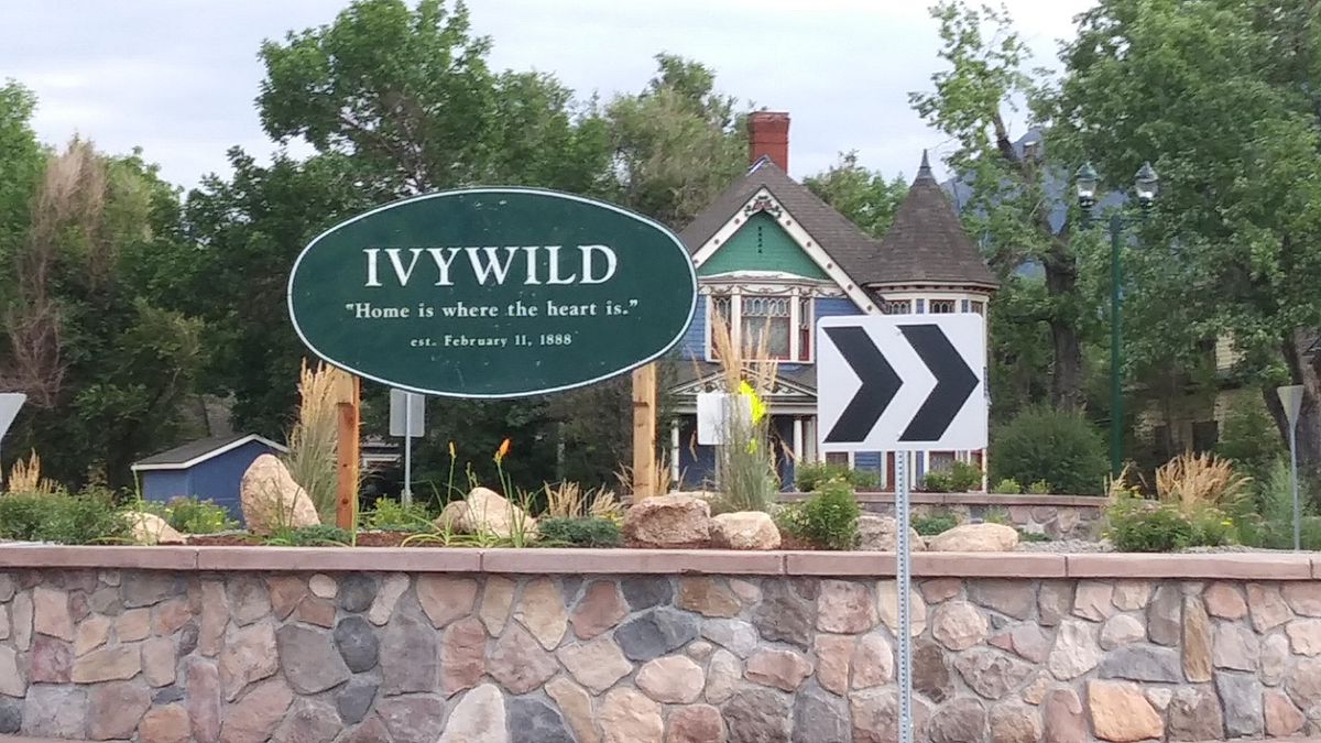 Ivywild Annual Neighborhood Picnic