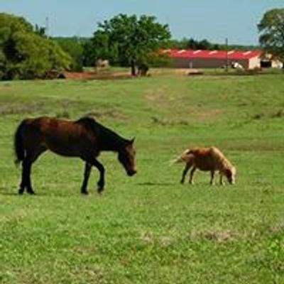 3F Ranch and Boarding