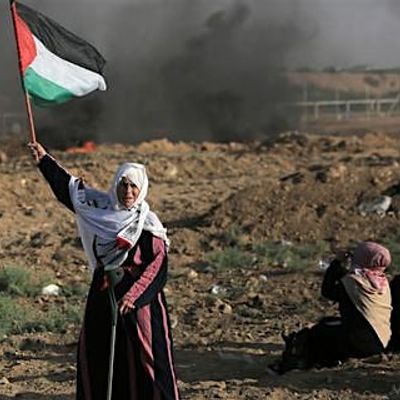 Liberation Arts Norwich