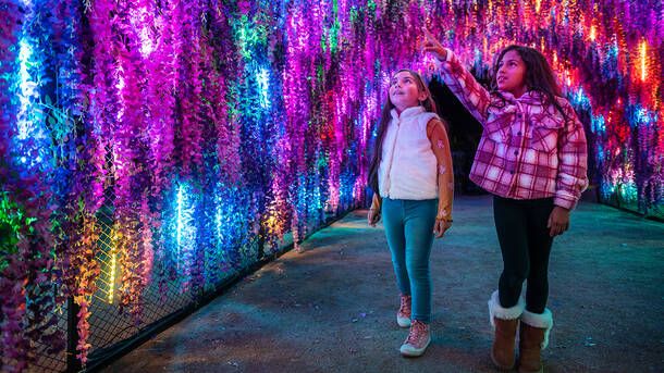 Phoenix ZooLights: The Valley\u2019s Favorite Holiday Tradition