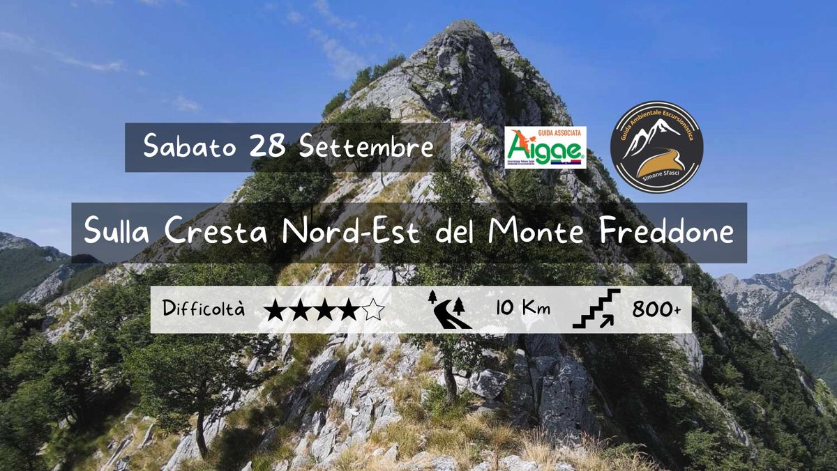 Sulla Cresta Nord-Est del Monte Freddone