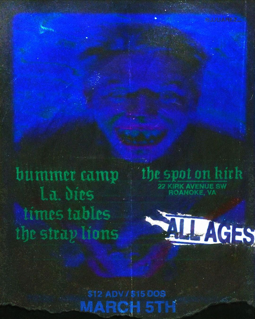 Bummer Camp, L.A. Dies, Times Tables, The Stray Lions