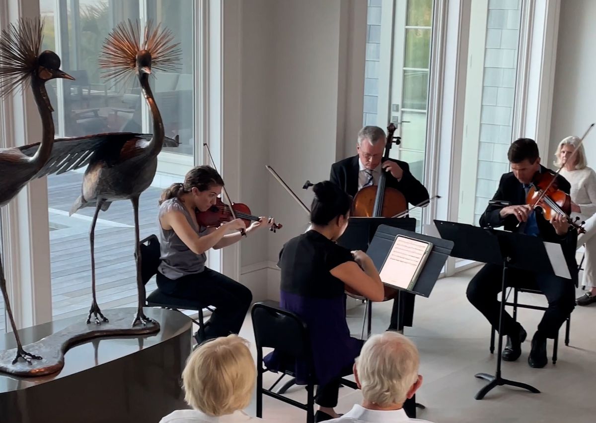Chamber Concert Series: Brandenburg Concertos