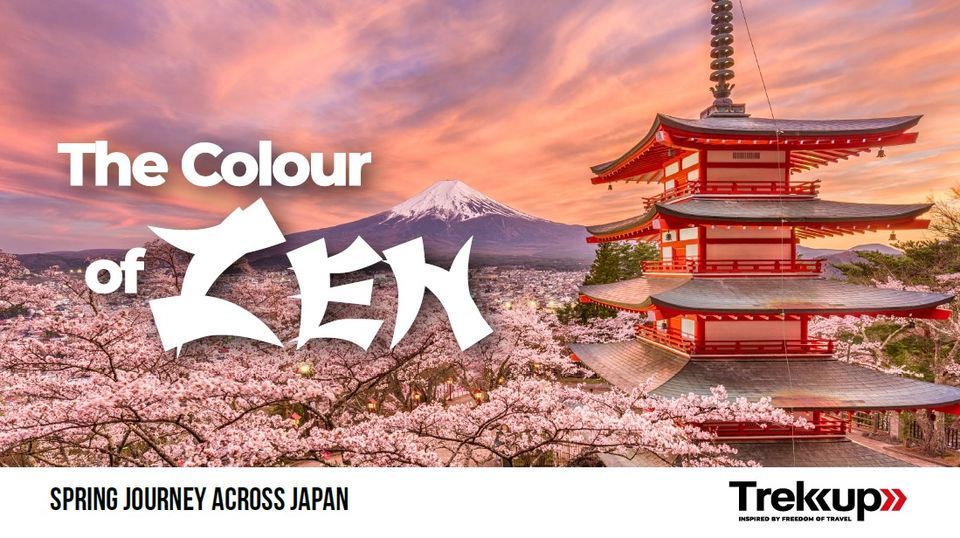 Color of Zen | Cherry Blossom Journey Across Japan