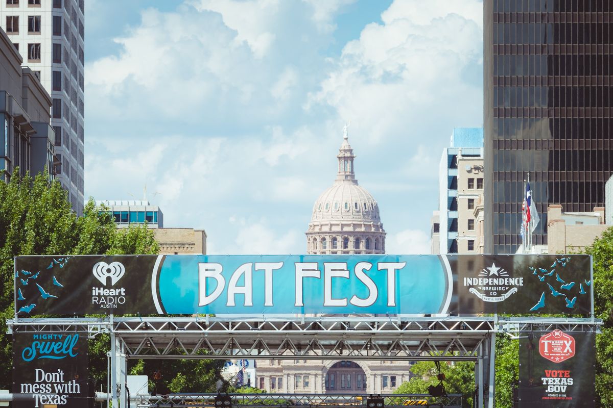 Bat Fest 2024