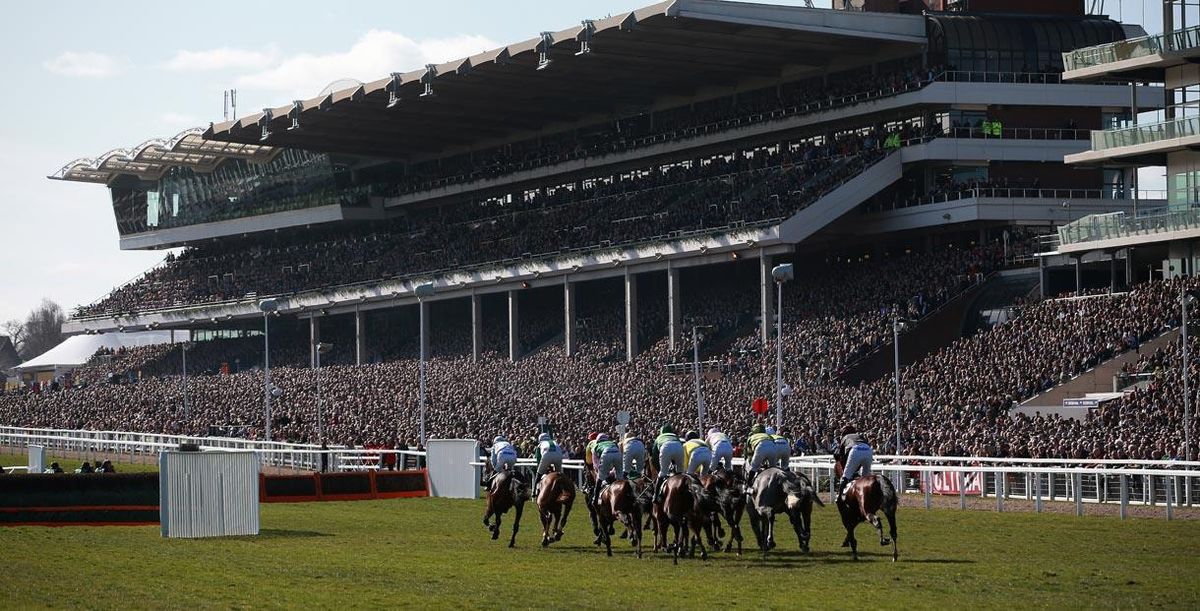 Cheltenham Countryside Day Friday 15th November 2024