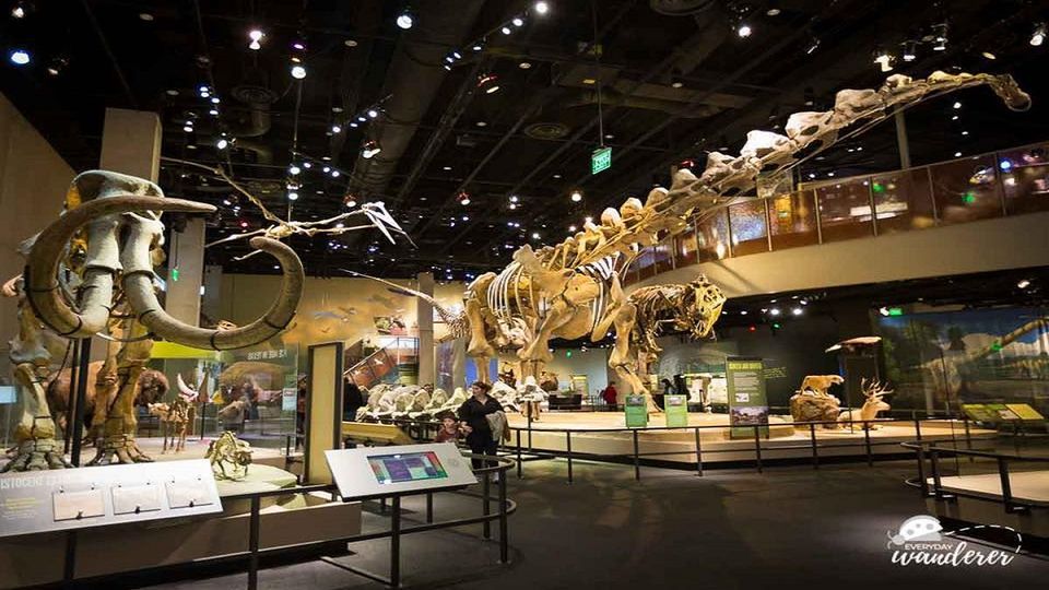 SUMMER CAMP-Kids 7-13 Yrs Field Trip: Perot Museum of Nature and Science