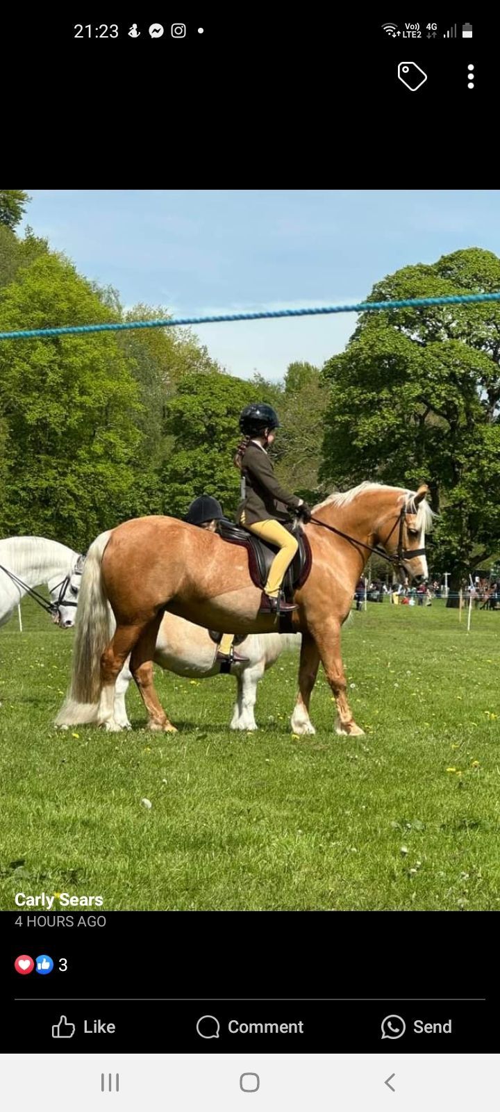 Ribble Valley Riding Club 1st points show