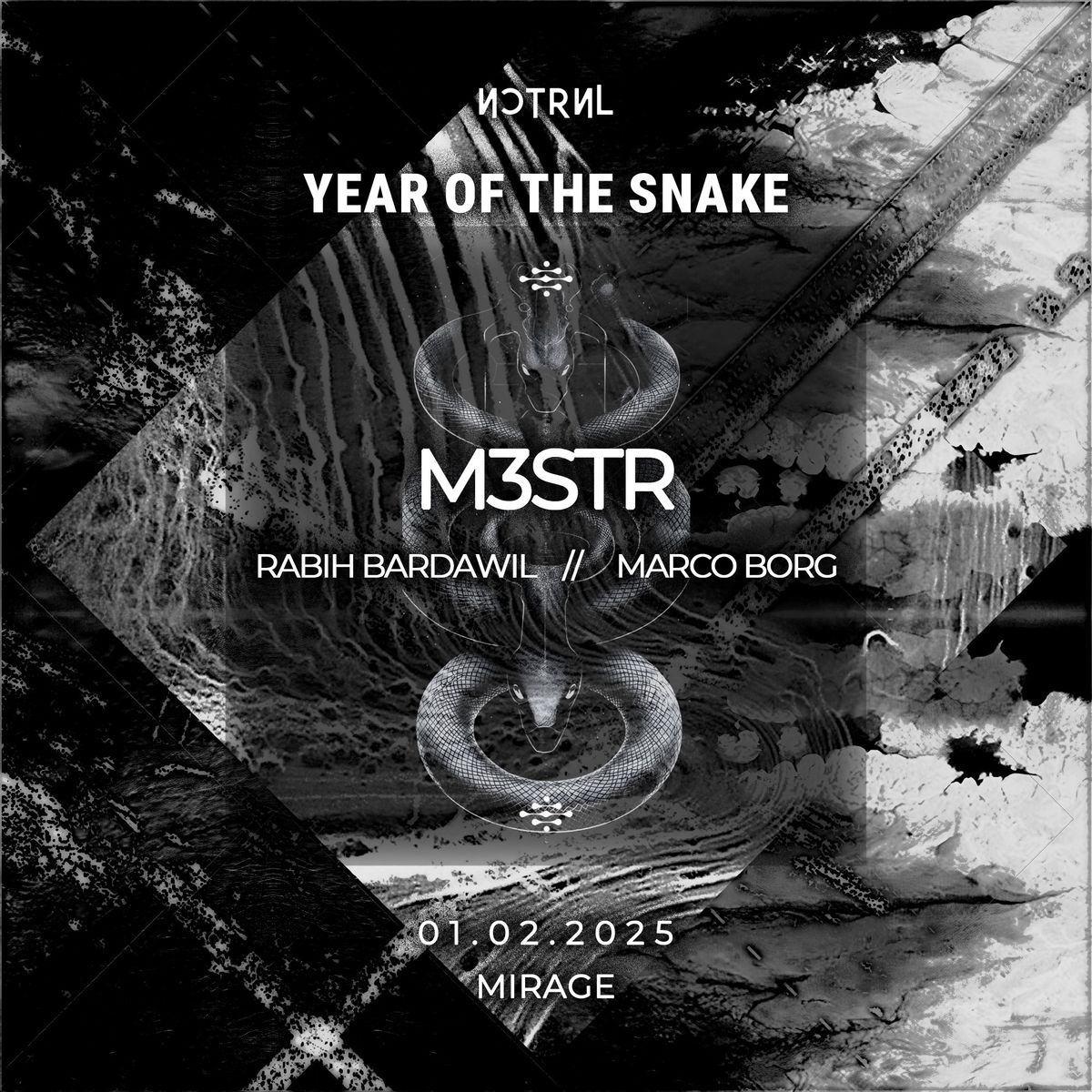 NCTRNL - Year of the Snake