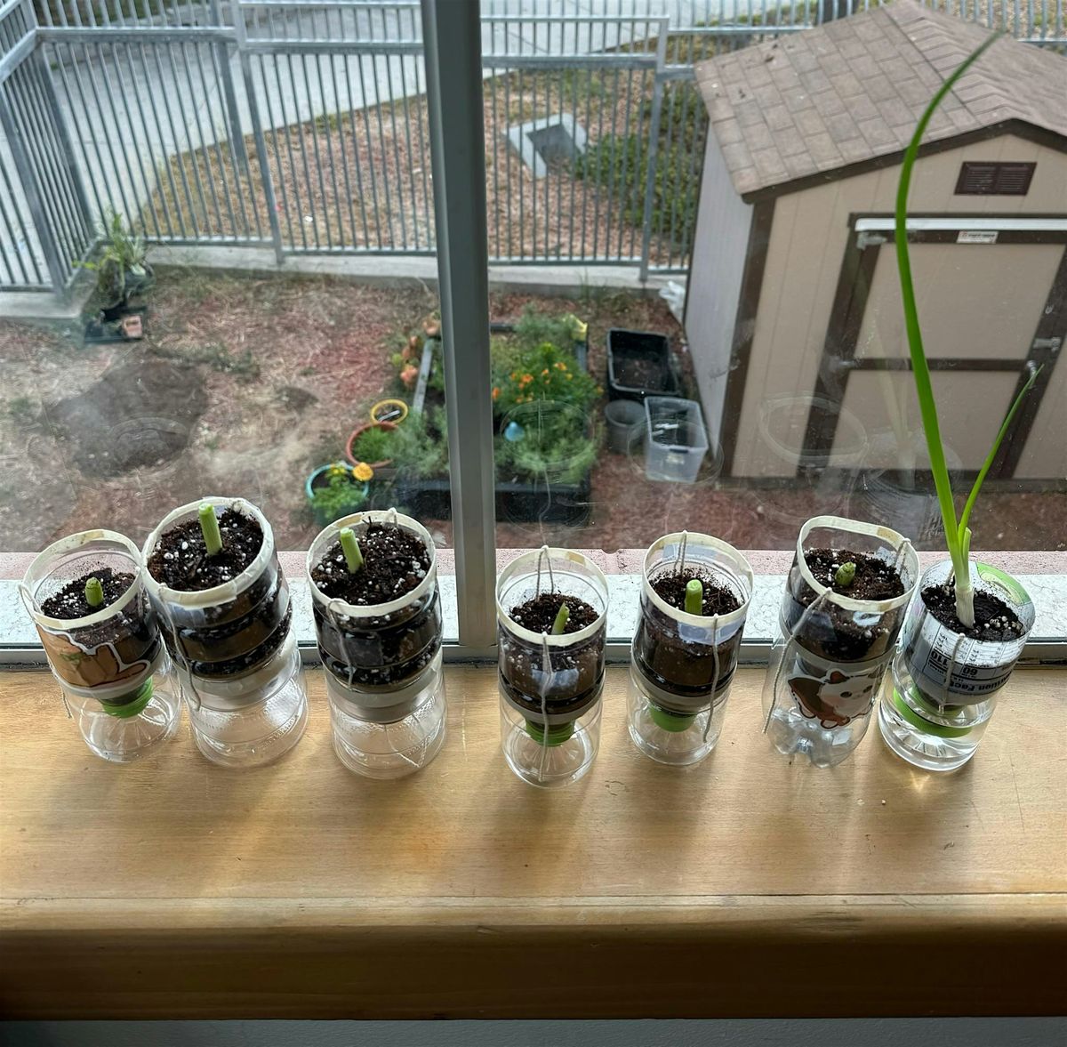 Ecology Explorers Workshop (For Grades 2-6, No-Cost)