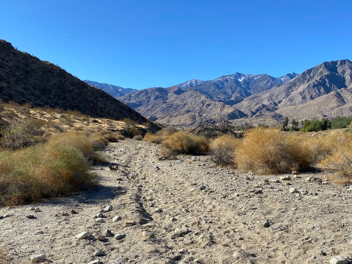 Earl Henderson Trail Hike