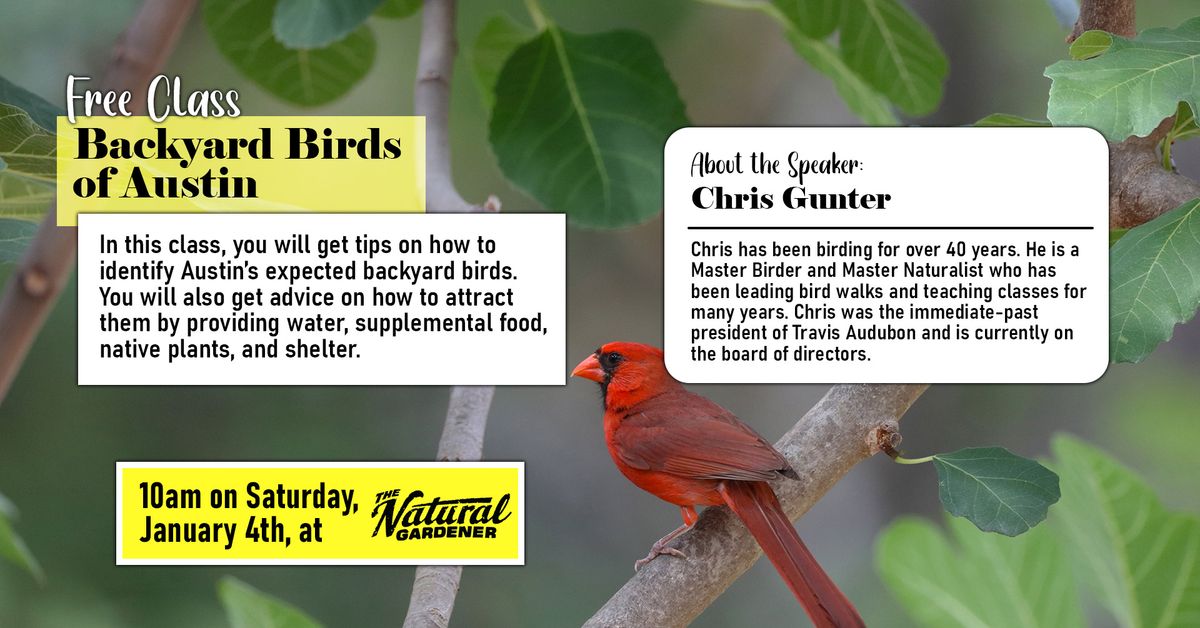 Free Class: Backyard Birds of Austin - Presented by Chris Gunter 