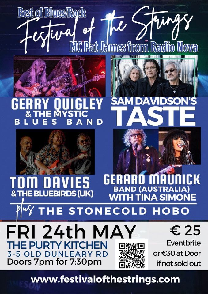 Festival of the Strings Best of Blues Rock Dublin 2024