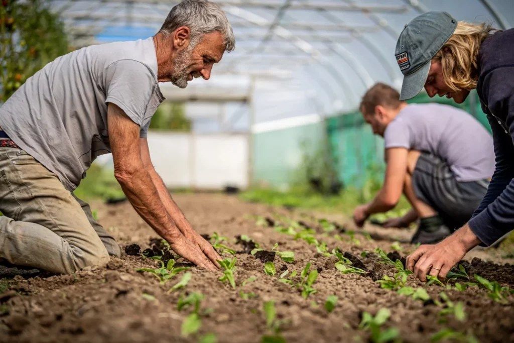 Farm Workshop With Natoora: Exploring Farm Produce Distribution Systems, Marketing & Branding