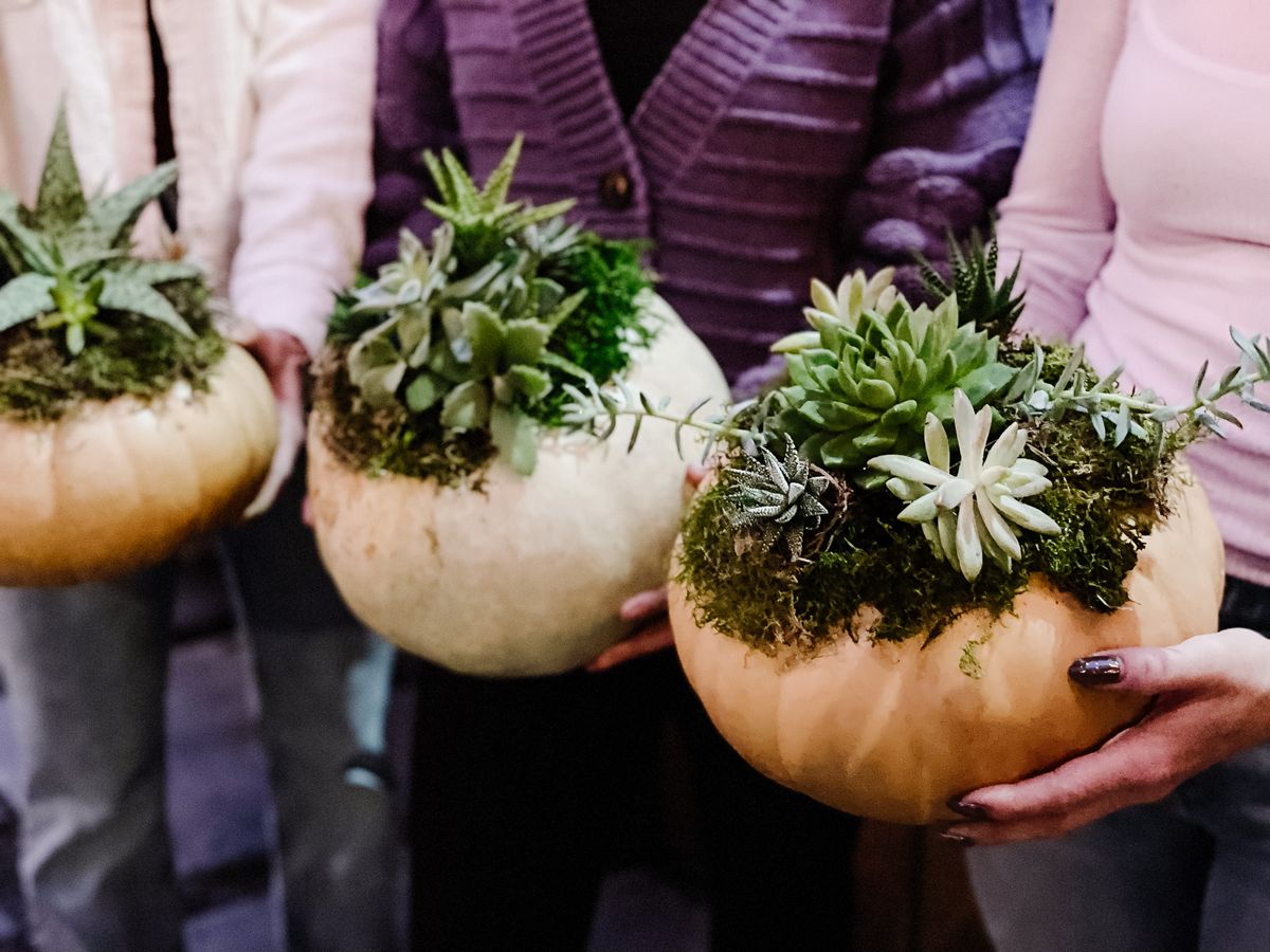 Succulent Pumpkin Planters with LaCott Fine Art