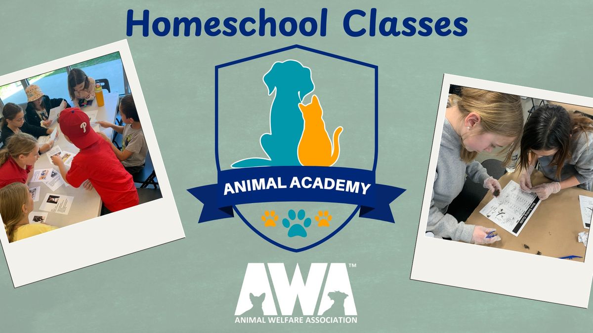 Animal Academy Homeschool - Seniors