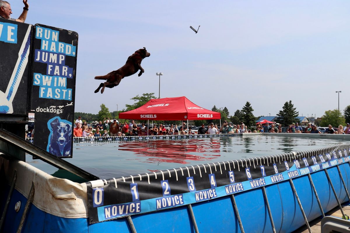 DockDogs\u00ae at Dog Days of Summer | Minot ND