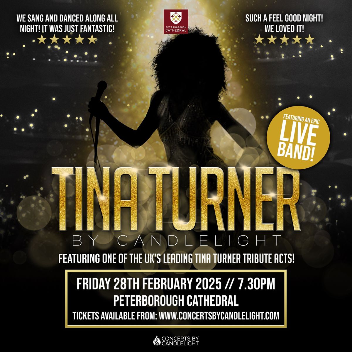 Tina Turner By Candlelight at Peterborough Cathedral 