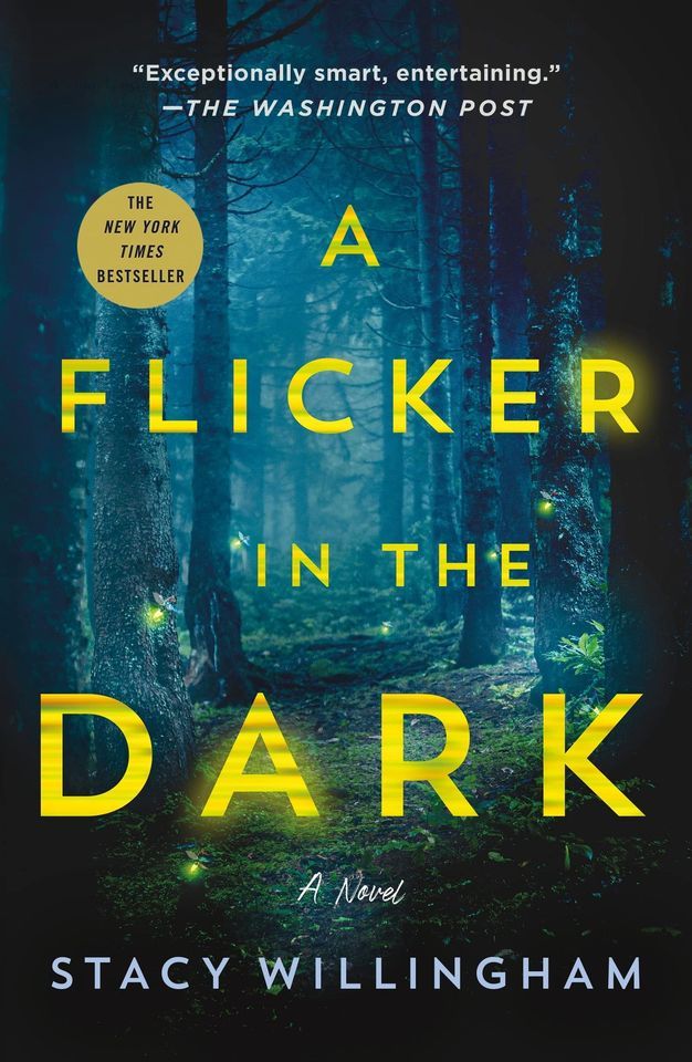 A Flicker in the Dark - BOOK CLUB MARCH