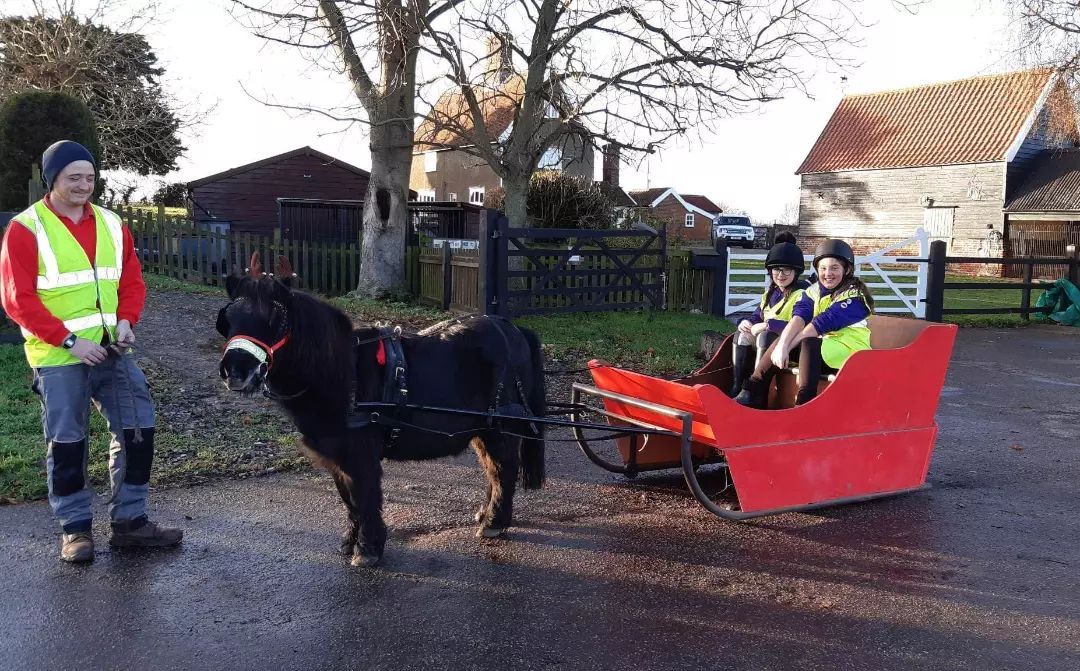 Christmas Sleigh Rides