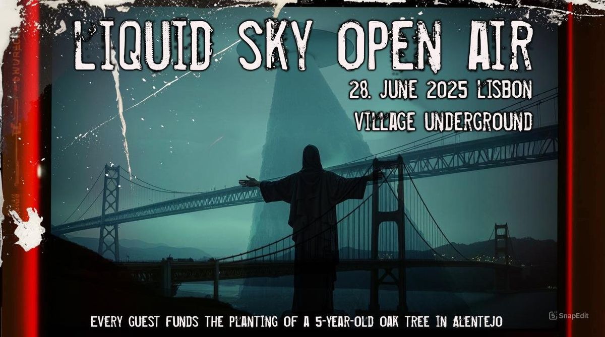 Liquid Sky OpenAir - Air Liquide & friends: Scanner \/ TokTok \/ A. Cichecki  \/ Irakli