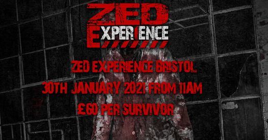 Zed Experience Bristol