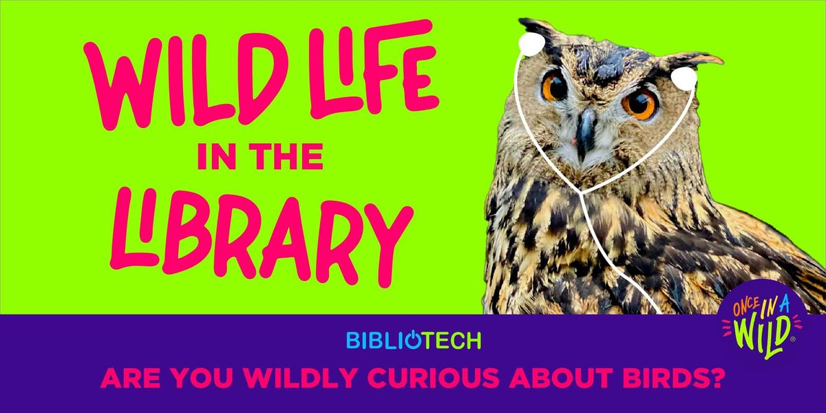 Wild Life in the Library - Birds