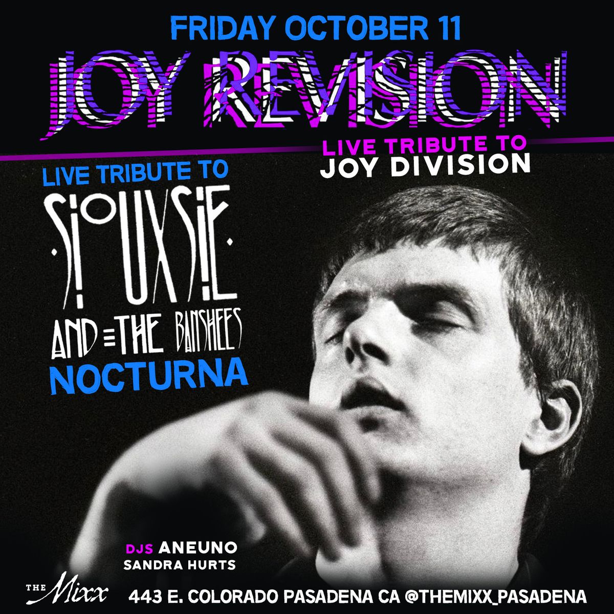 JOY DIVISION & Siouxsie and the Banshees Live Tribute 