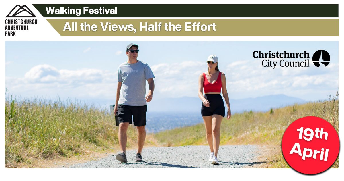 All the Views, Half the Effort - CCC - Walking Festival