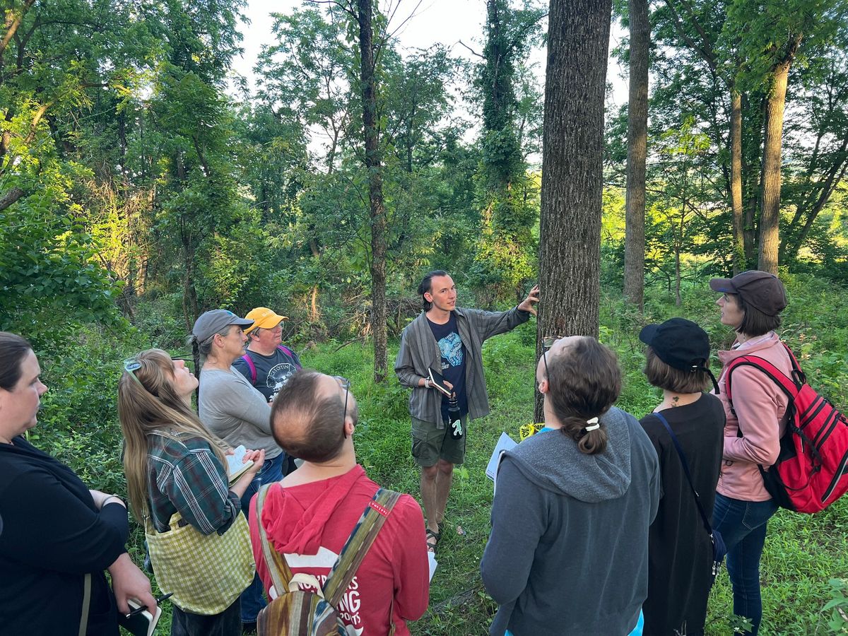 Identifying Trees by Bark