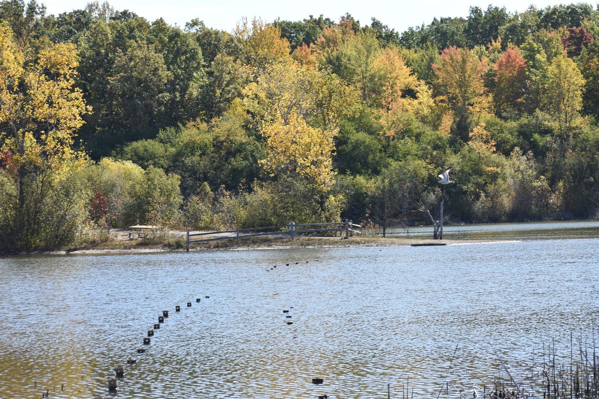 Conservation Field Day at the Pittsfield Preserve