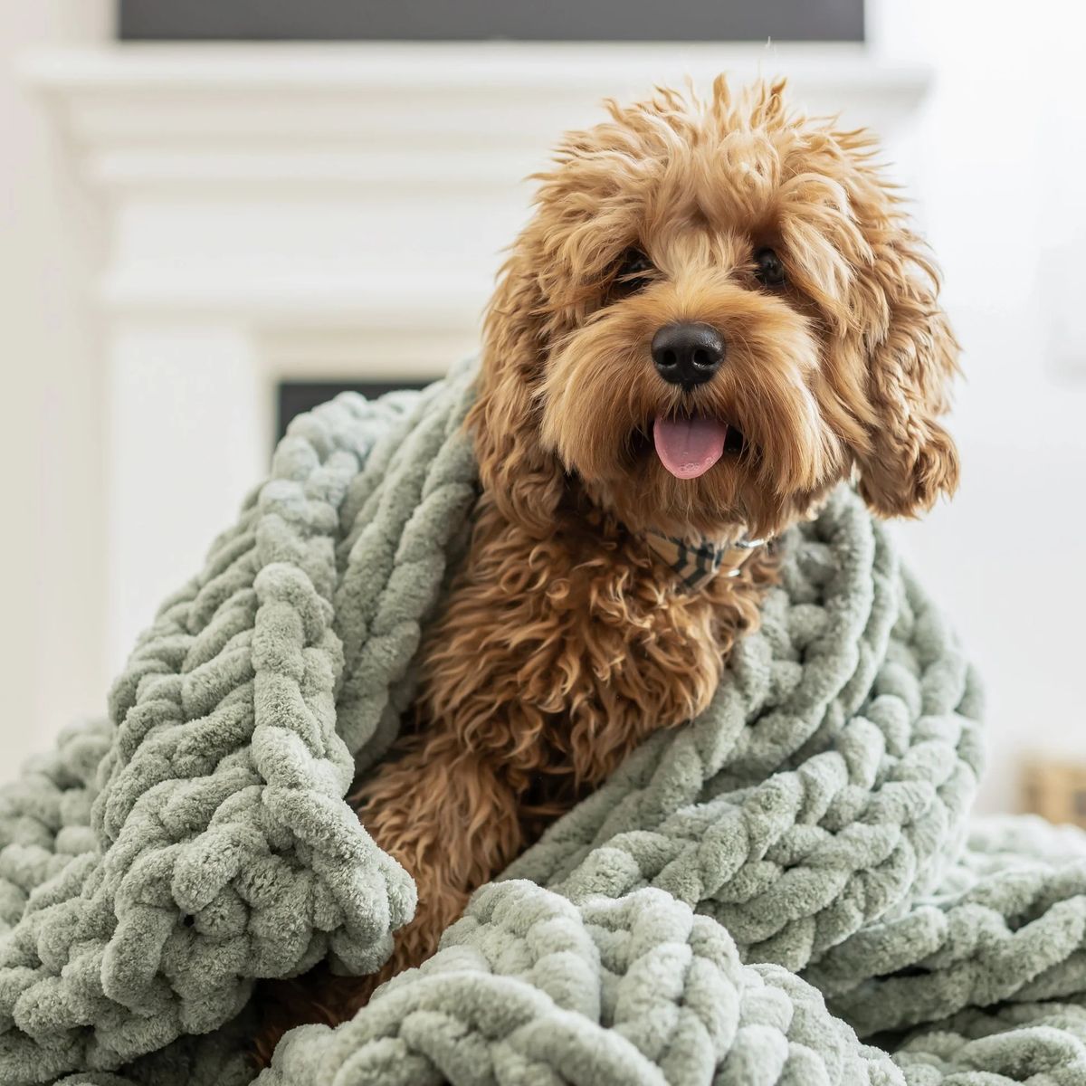 Chunky Blanket Workshop