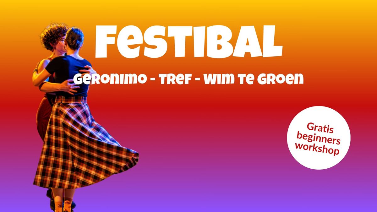 Festibal - een balfolk happening