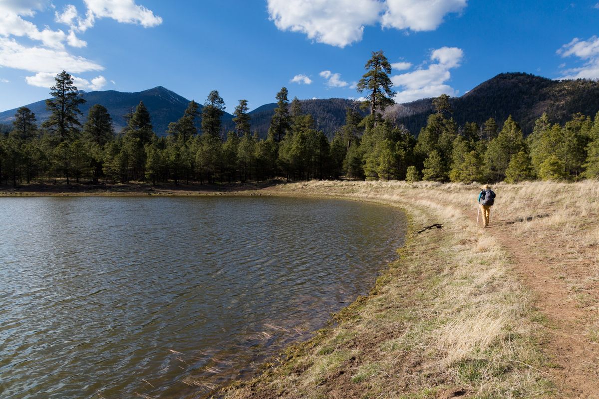 Veteran Volunteer Work Weekend - Little Elden Mountain